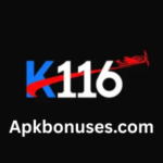 K116 Game