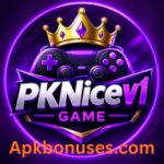 PKNICE Game